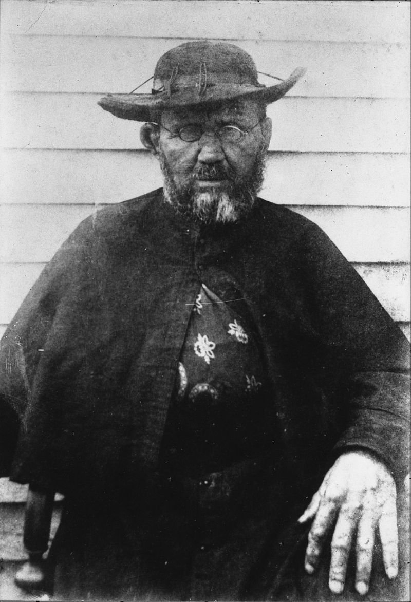 Father Damien by William Brigham